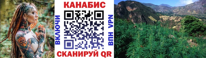 Где продают наркотики Кызыл Гашиш АМФ APVP Меф мяу мяу Псилоцибиновые грибы Cocaine