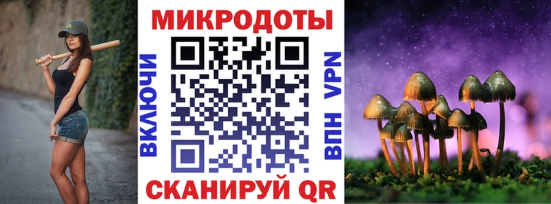 Псилоцибиновые грибы прущие грибы  Кызыл 